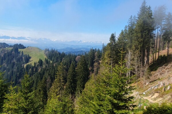 Randonnée au Napf 1406m dans le tour du Fankhausgraben