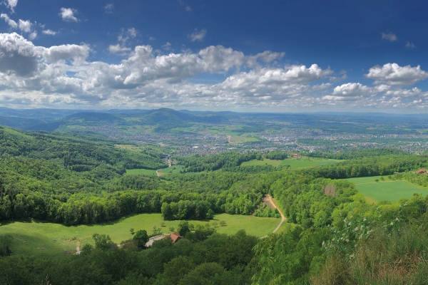 Durchs nordwestschweizer Kirschenparadies