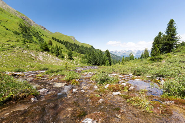 Wilde Wasser am Piz Ela