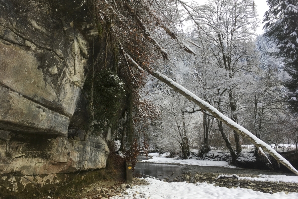 Winterlicher Schwarzwassergraben