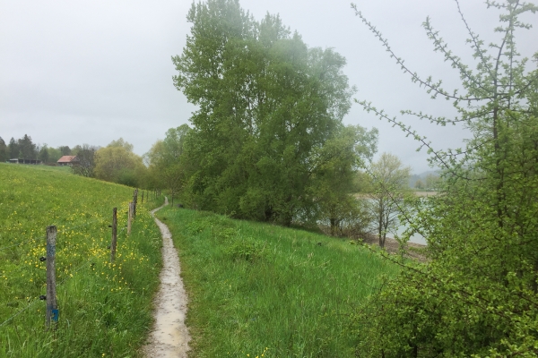 Sur la rive du lac de la Gruyère