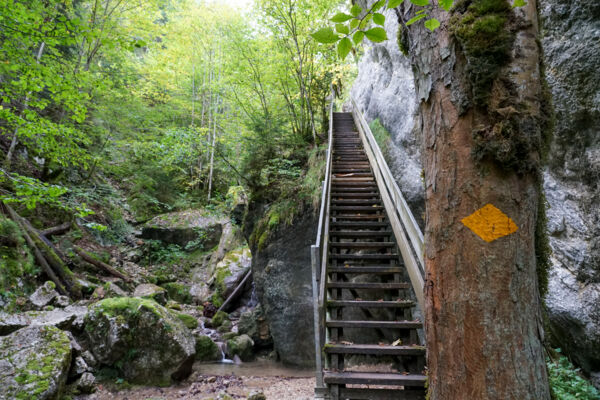 Über steile Stufen der Gorges de Perrefitte