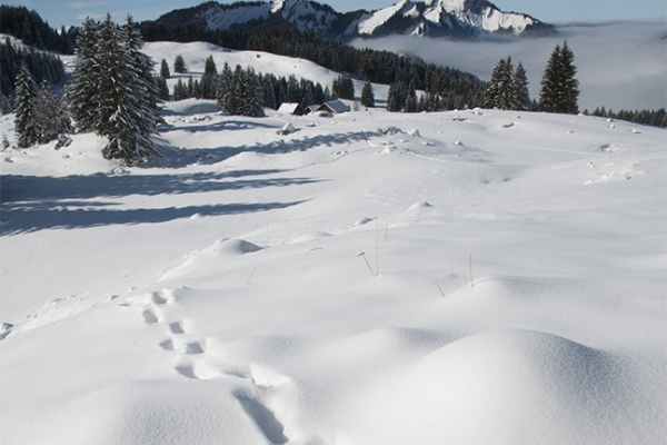 Appenzell sous la neige