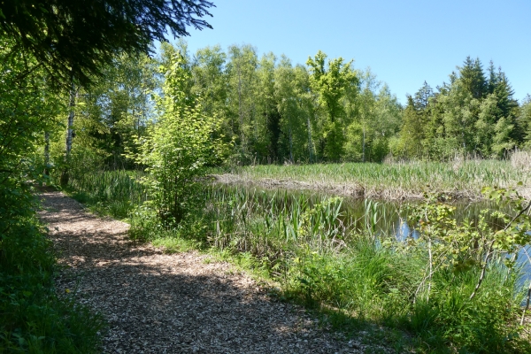 In der Thurgauer Ländlichkeit