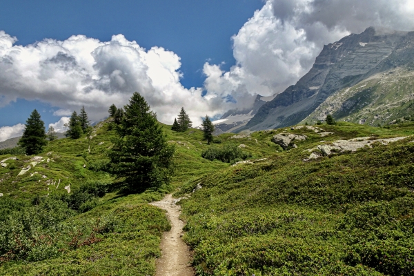 Dans la nature sauvage du Haut-Valais