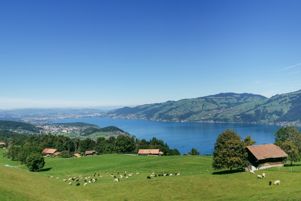 Randonnée picturale au bord du lac de Thoune