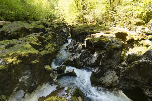 La mousse, reine des gorges de l’Orbe