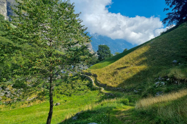 Vom Grenzdorf am Simplon in die wilde Natur