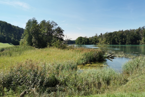 Vom Glatttal über den Laubberg an den Rhein