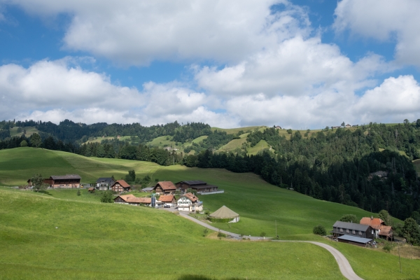 Zu Aussichtskanzel und Hof Bärüti