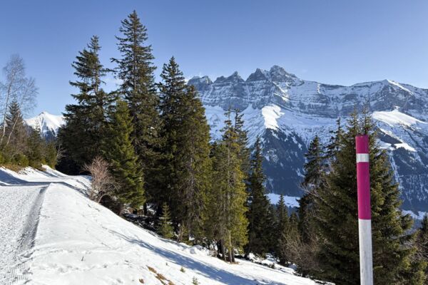 Viel Ruhe und Aussicht im Val d'Illiez
