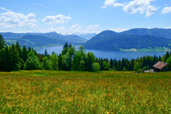 Auf dem Panoramaweg Ägerital