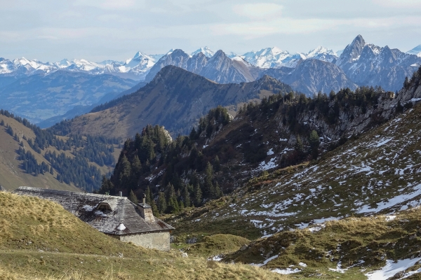 Vers les majestueux Rochers de Naye 