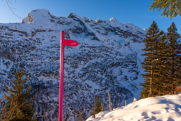 Winterfreuden über dem Urnertal