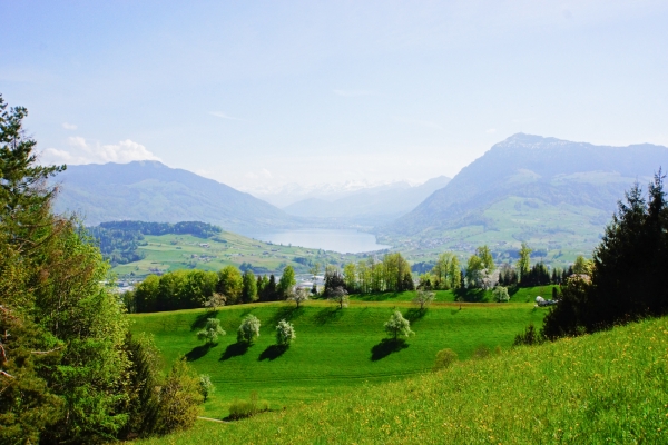 Le canton de Lucerne côté campagne 