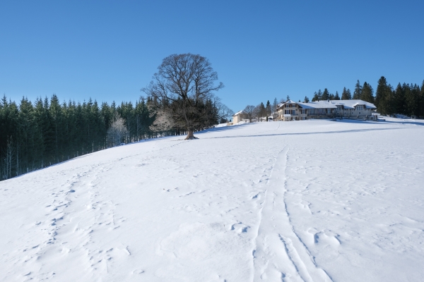 Über den Höhenrücken im Neuenburger Jura