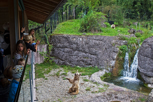 Entdecker - willkommen im Tierpark Goldau!