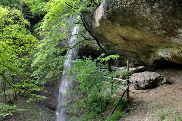 Sagenlandschaft in Zürichs wilder Ecke ZH