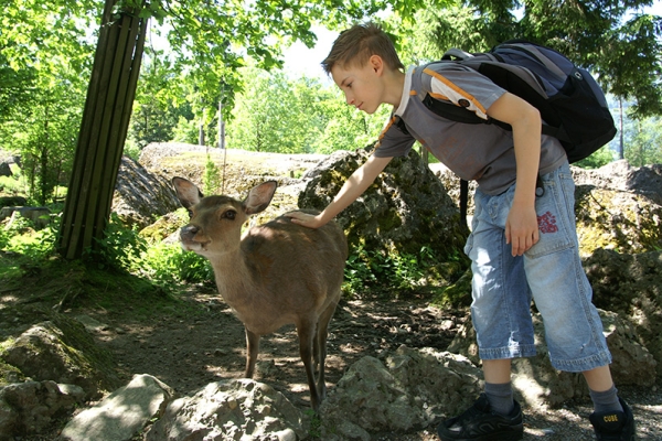 Le parc animalier de Goldau