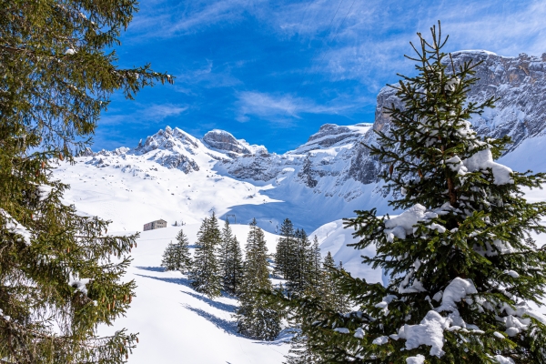 Randonnée familiale en raquettes à Bannalp 