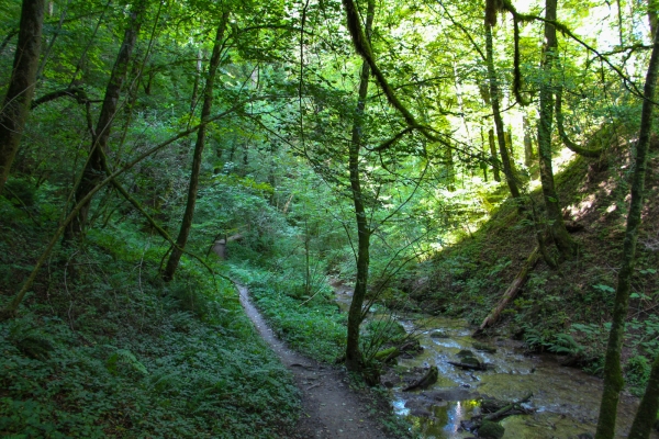 D’Yvonand au vallon des Vaux 