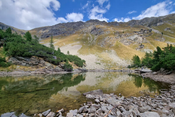Durch das Val da Pila auf die Alp Grüm