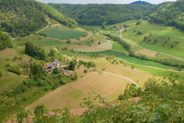 Rothenfluh