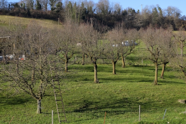 Les villages du Jura tabulaire bâlois