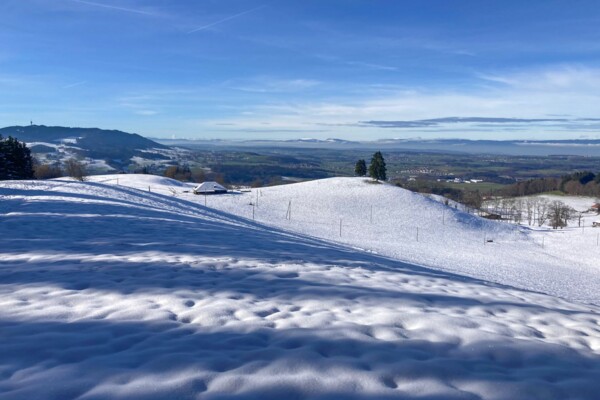 Zu den Kames im Greyerzerland