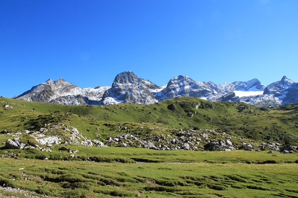 Sept Têtes dans les Alpes vaudoises