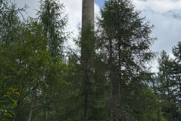 Überraschungswanderung (**/T1)