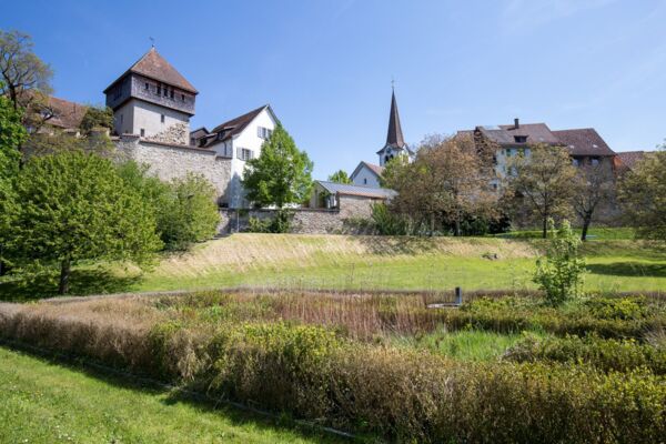 Wo einst am Rhein der Salzhandel blühte