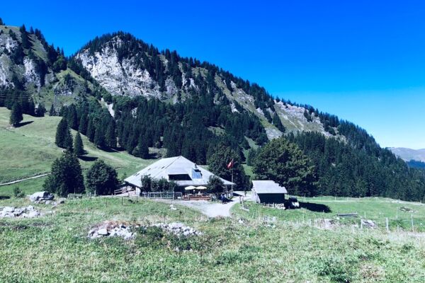 4.B L' Alpine 10:10
