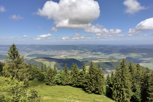 Les hauts du Jura, un paysage varié