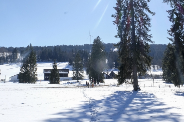 Les Franches-Montagnes en hiver 