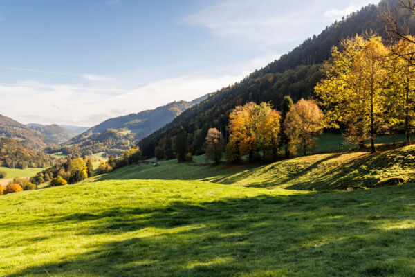 Impressionen in den Freibergen