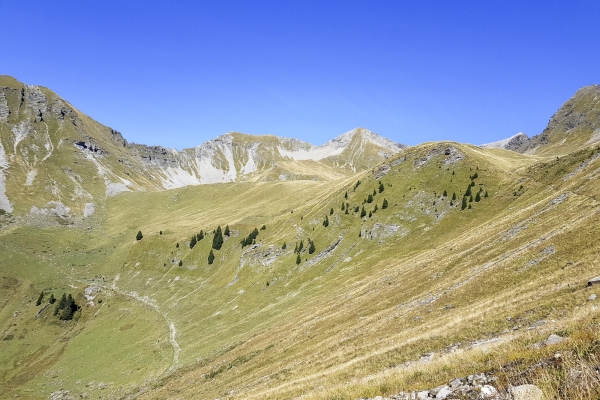 Gipfelerlebnis im Diemtigtal