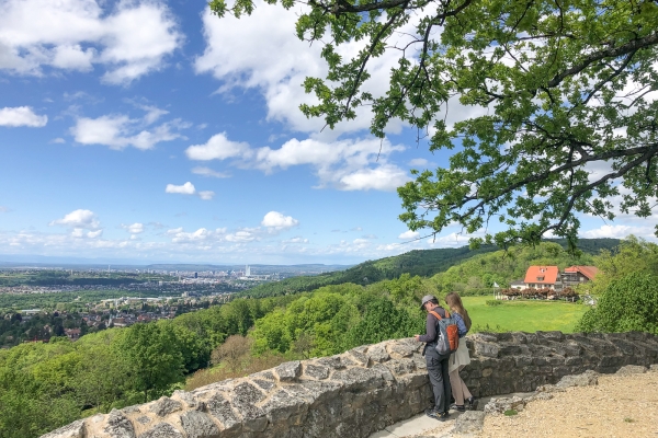 Les trois châteaux du district de Dorneck