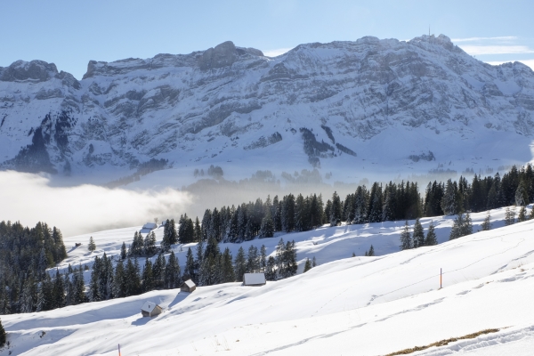 Le vaste panorama du Kronberg appenzellois