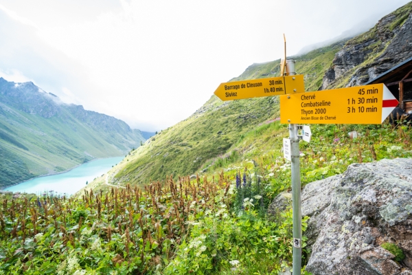 Entlang der höchsten Suone von Nendaz