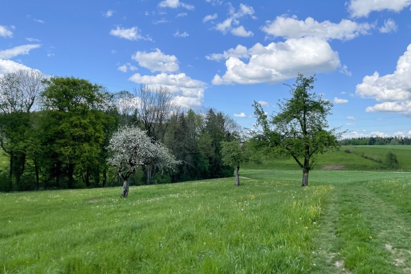 Idillio escursionistico nei pressi di Winterthur