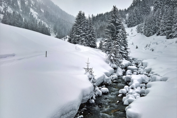 Chemins d’altitude dans la Surselva