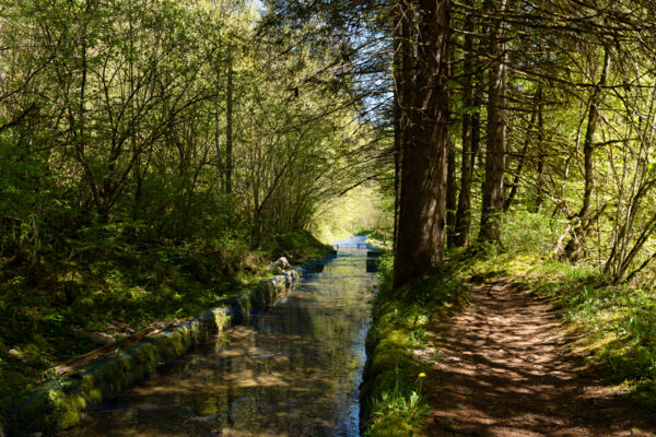 Durch die grüne Schlucht: die Gorges de l’Orbe