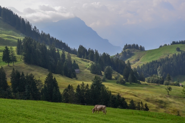 Vue sur les Mythen dans le canton de Schwyz