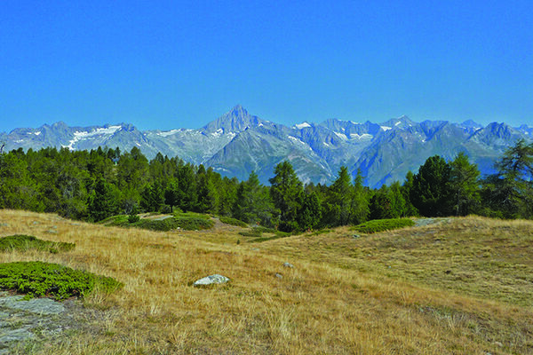 Bergpanorama pur auf der Moosalp