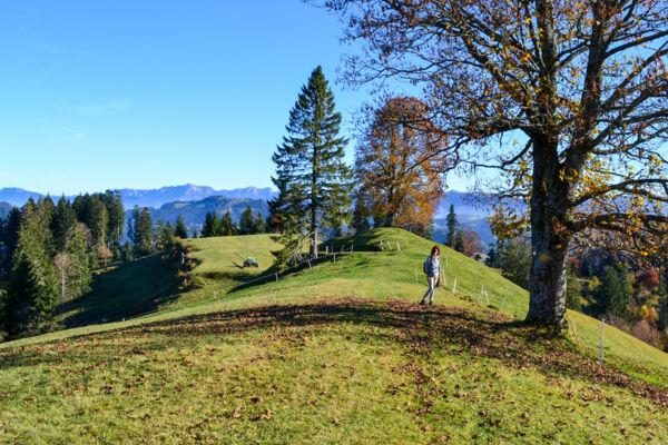 Das Emmental von seiner schönsten Seite
