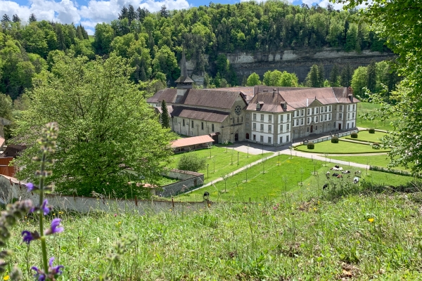 Des méandres de la Sarine à la sauvage Gérine