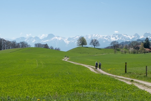 Sur le chemin panoramique du Gürbetal