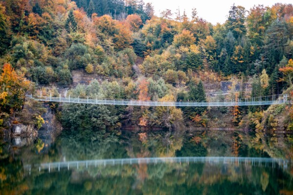 Zu den Kames im Greyerzerland