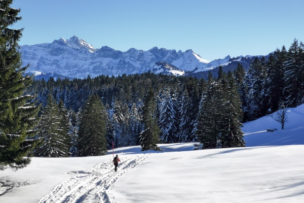 Fermé: Circuit en raquettes dans le Toggenburg